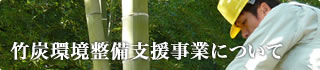竹林環境整備支援事業について